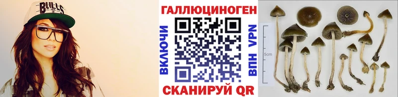 Псилоцибиновые грибы MAGIC MUSHROOMS  Волоколамск 